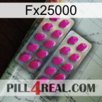 Fx25000 10